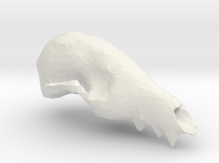 Fox Skull 3D Scan 3d printed 
