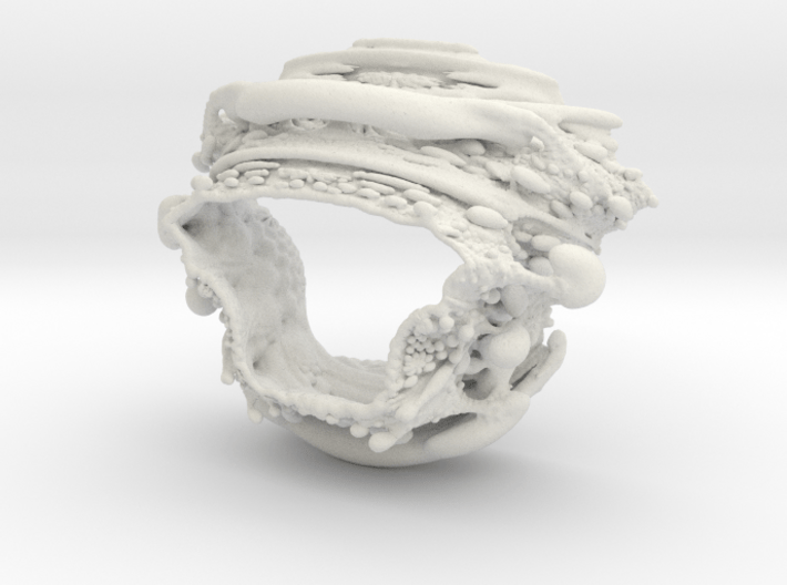 Slice of Spine - Two Vertebrae - Fractal Bracelet 3d printed 