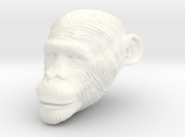 Head Chimp 3d printed 