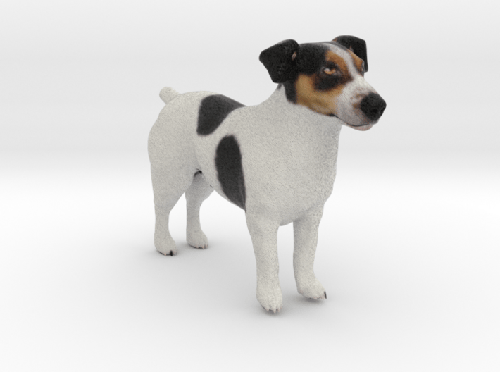 Standing Jack Russell Terrier 3d printed 