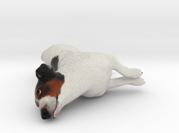 Laying Jack Russell Terrier 3 3d printed 
