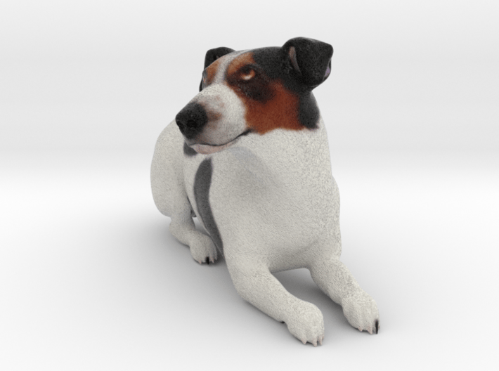 Laying Jack Russell Terrier 1 3d printed 