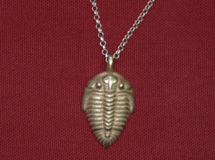 Trilobite Fossil Necklace 3d printed Stainless steel print. Chain not included.