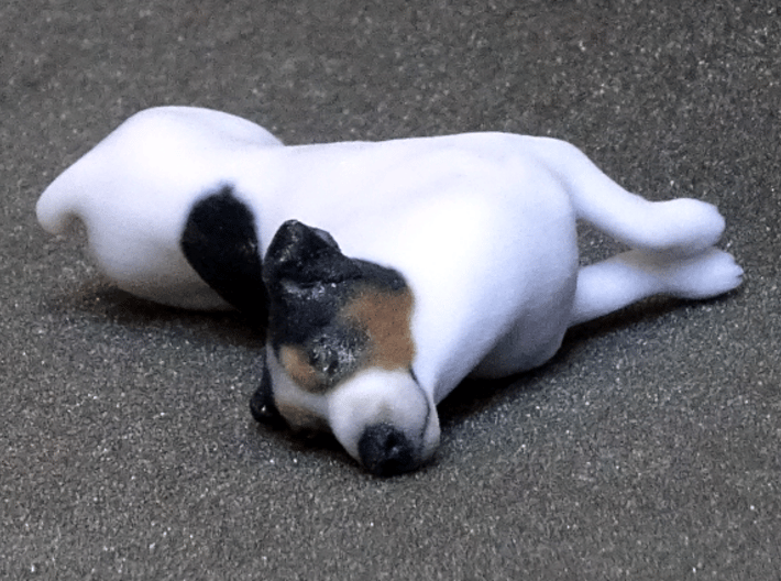 Laying Jack Russell Terrier 3 3d printed 