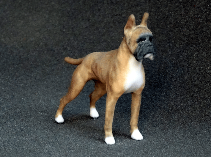 Red Fawn Boxer 3d printed 