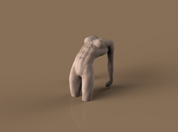 Small Female Body 3d printed 