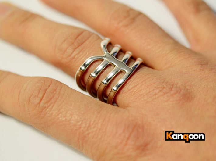 Thorsten 4 Rib - Ring 3d printed Polished Silver ( printed in US 9.75 )