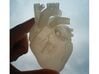 Anatomical Heart 3d printed Beautiful translucency on on Frosted Ultra Detail. Other materials may not be as translucent.
