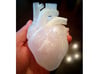 Anatomical Heart 3d printed Anterior view