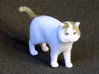 Standing Exotic Shorthair Cat 3d printed 