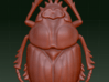 Scarab Beetle 3d printed 
