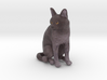Sitting Gray Chartreux 3d printed 