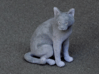 Sitting Gray Chartreux 3d printed 