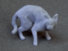 Fearing Gray Chartreux 3d printed 