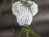 Radiolaria Tetrahedra Planter 3d printed Tillandsia species: T. bulbosa and T. bandensis