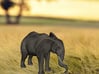 3D Africa Elephant 3d printed 3D Africa Elephant