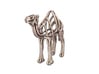 Camel Wireframe Keychain  3d printed 