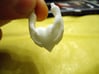 Amber's heart Pendant 3d printed 