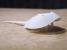 Articulated Horseshoe Crab (Limulus polyphemus) 3d printed 