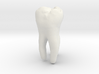 Molar Tooth 200mm-1 ---Backenzahn 200mm-1 3d printed 