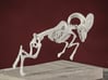 Bighorn Sheep Skeleton 3d printed WSF