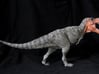Tyrannosaurus rex 1/72 Krentz 3d printed PLEASE NOTE- This is 1/40 model (12" long) that is available at www.dansdinosaurs.com or urzeitshop.de.  It is basically the same model only larger with more detail.
