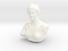 Venus de Milo 3d printed 