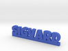 SIGVARD Lucky 3d printed 