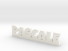 PASCALE Lucky 3d printed 