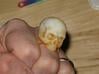 Skull Ring (size 12) 21,3mm 3d printed White detail. picture by:TommySaysSoWhat