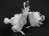 Ostrich 1:25 Fighting Pair 3d printed 