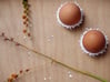 Nest Egg Holder 3d printed Add a caption...