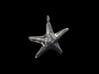 Starfish pendant 3d printed Render