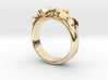 Designer Ring #3 3d printed 