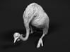 Ostrich 1:12 Guarding the Nest 3d printed 