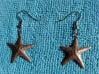 Starfish earrings 3d printed Stainless steel