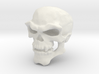 2000x skeletor 3d printed 