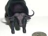 Cape Buffalo 3d printed Printed, in Black Strong & Flexible