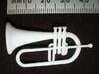 Flugel Horn 3d printed Photo - with scale