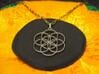 Seed of Life Pendant 3d printed Photo of Stainless Steel pendant on a chain.