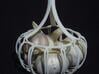 Garlic Bulb Bowl 3d printed Photo with garlic bulbs