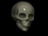 solid skull 2" 3d printed 