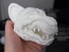 Oni-Tiger Miniature Decorative Noh Mask 3d printed Large home printed PLA model.