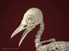 Bare-Fronted Hoodwink Skeleton 3d printed 