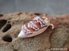 Diva the Nudibranch 3d printed Hand Painted White Strong & Flexible Polished