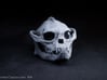 Skull 6 Hollow 2 3d printed A Replicator 2 print after redetailing and retexturing by hand. *Not a raw 3D print*