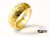 Ray B. - Tire Ring 3d printed Polished Brass printed
