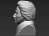 Hillary Clinton bust 3d printed 