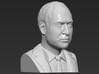 Prince William bust 3d printed 