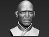 Lord Voldemort from Harry Potter bust 3d printed 